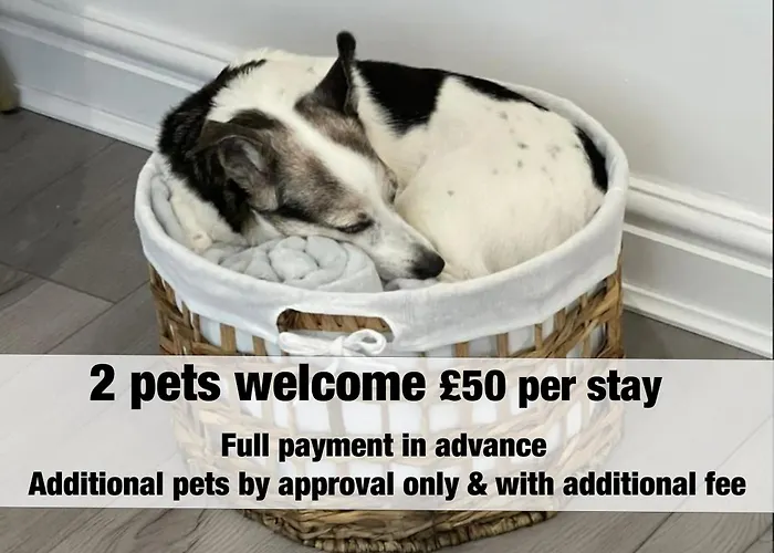 Lavender - Delightful Stables Conversion By Stae-homes 宾馆